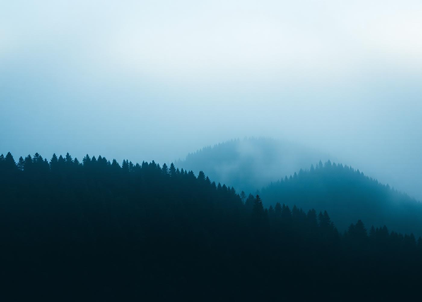 Aerial view of a forest ridge in low morning fog
